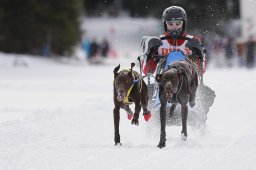 Lenzerheide 2013